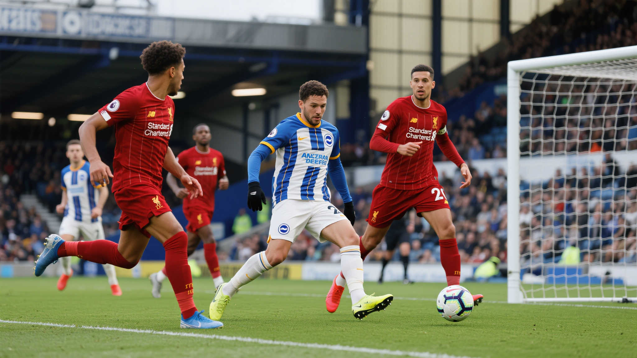 球队需要更 球队需要更