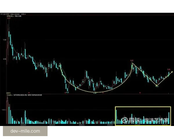 从数据与临场因素解读亚冠比赛走势的关键判断逻辑与实战应用方法