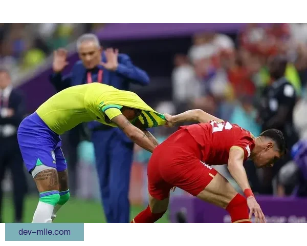 塞尔维亚世界杯小组赛垫底出局背后原因与未来重建之路全面解析深