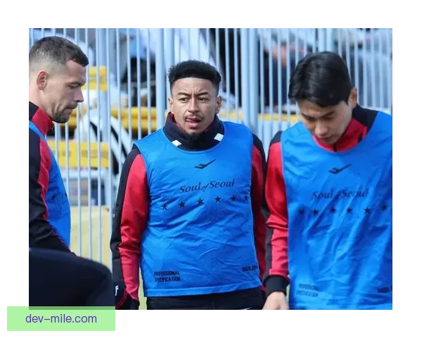 首尔FC官宣林加德因膝伤将接受微创手术 将缺席未来一段时间比赛