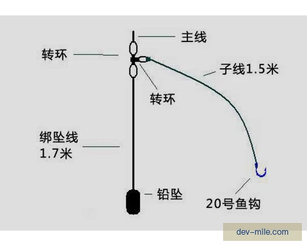 钓鱼钓组合规，休闲垂钓更需守住法律底线